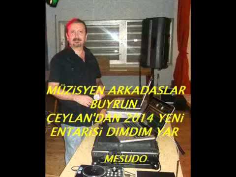 ENTARiSi DIM DIM YAR