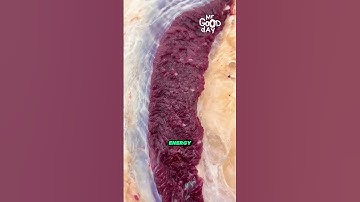 Is Moving Meat Alive #shorts