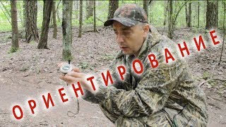 🌏Ориентирование🌏 в лесу☘