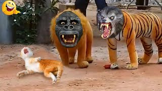 Funny Animals  Funny Cats & Dogs Videos  Funniest Animals 2023 #4