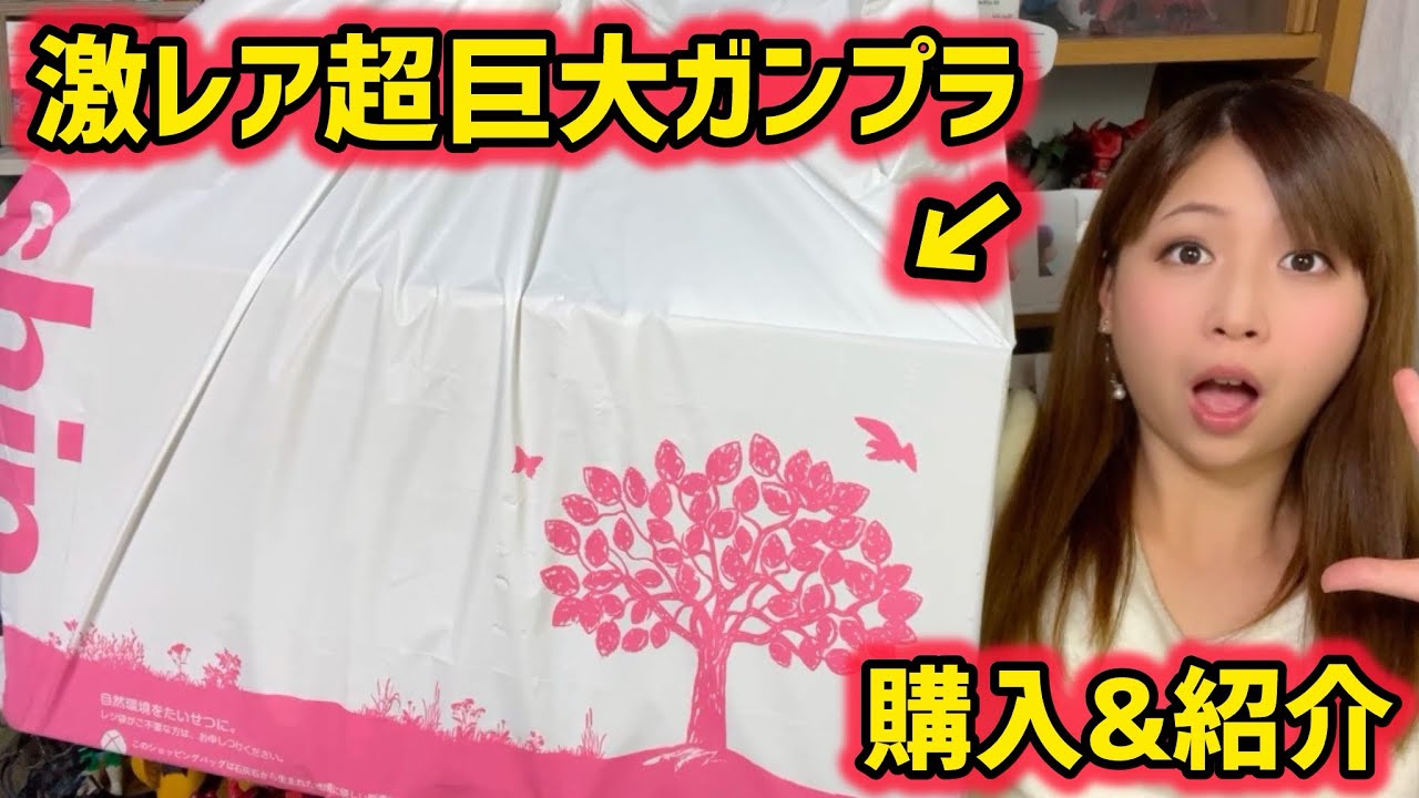 ガンプラ】今年最後のお買い物の旅で…まさかの激レア巨大
