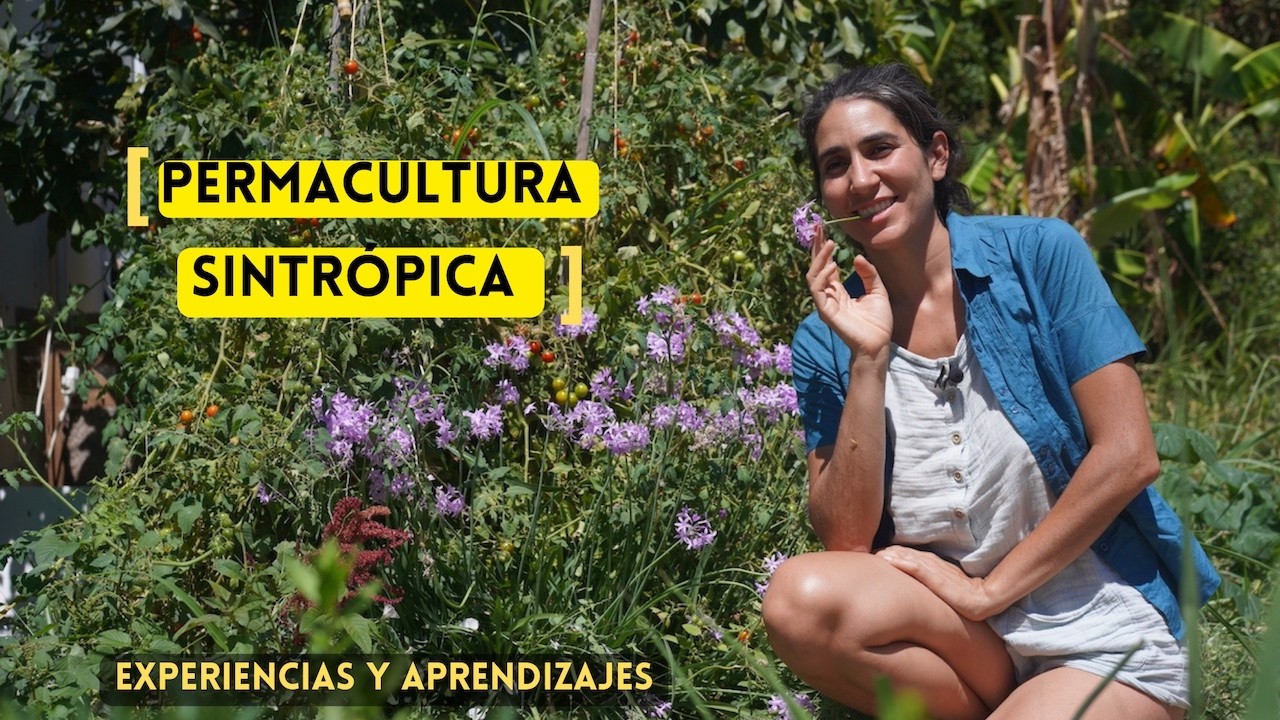 PermaculturA 👩🏻‍🌾 SintrópicA