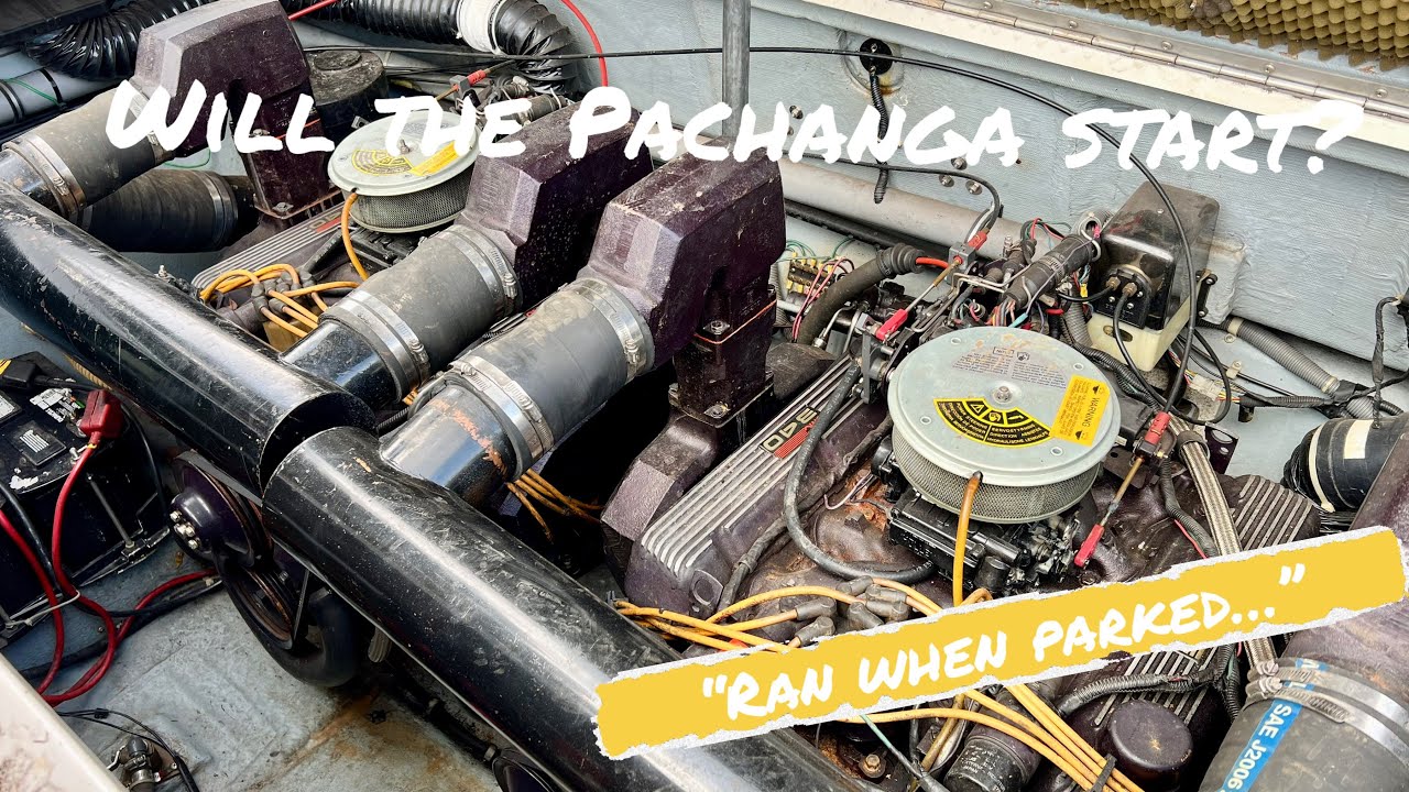 Bringing the Beast Back: Will the Twin OMC 460s Run? Sea Ray Pachanga 32!!