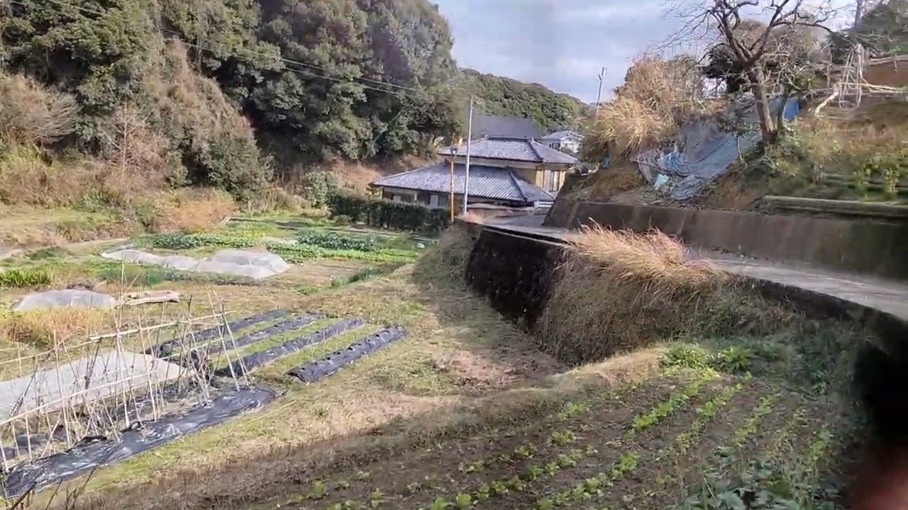 長崎　高田郷周辺から高田駅まで