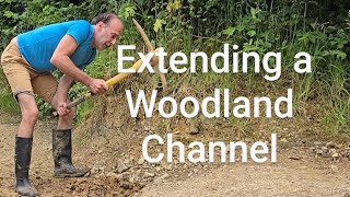 Extending a woodland channel #digging #landscaping #permaculture #exercise #fitnessmotivation #cats