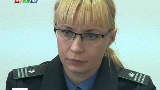 Сюжет – Крымчан предупредили о соблюдении правил содержания животных в период вспышки АЧС Сюжет – Крымчан предупредили о соблюдении правил содержания животных в период вспышки АЧС