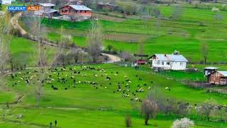 Ozan Ni̇yazi̇ Şu Dünyada Ni̇ce Yüzler Güldürdüm Resimi