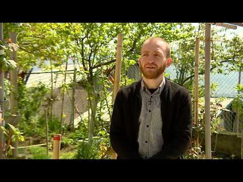 მიხეილი კვირტია | ცოდნა ფულიას მოთამაშე