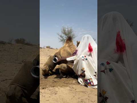 ق ام ٱل و ل د ب م ع ال ج ة ٱل ج ر ح ب ح ك م ة و ق د ت و ف ر ٱل م اد ة ٱلس و د