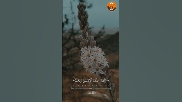 القرآن الكريم #explore #اكسبلور #المصحف #quran #fyp #travel #nature