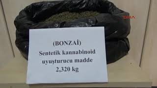 canakkale lapseki de bir kisi 2 kilo 320 gram bonzai ile yakalandi Resimi