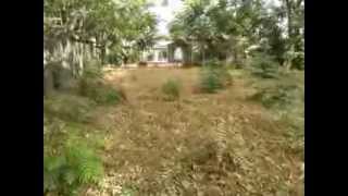 2545 S Walnut Ave Fresno video 1