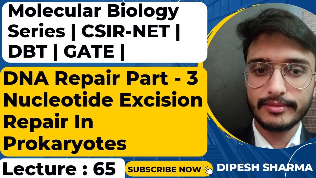 Molecular Biology Lecture 65 | DNA REPAIR PART 3 | Nucleotide Excision ...