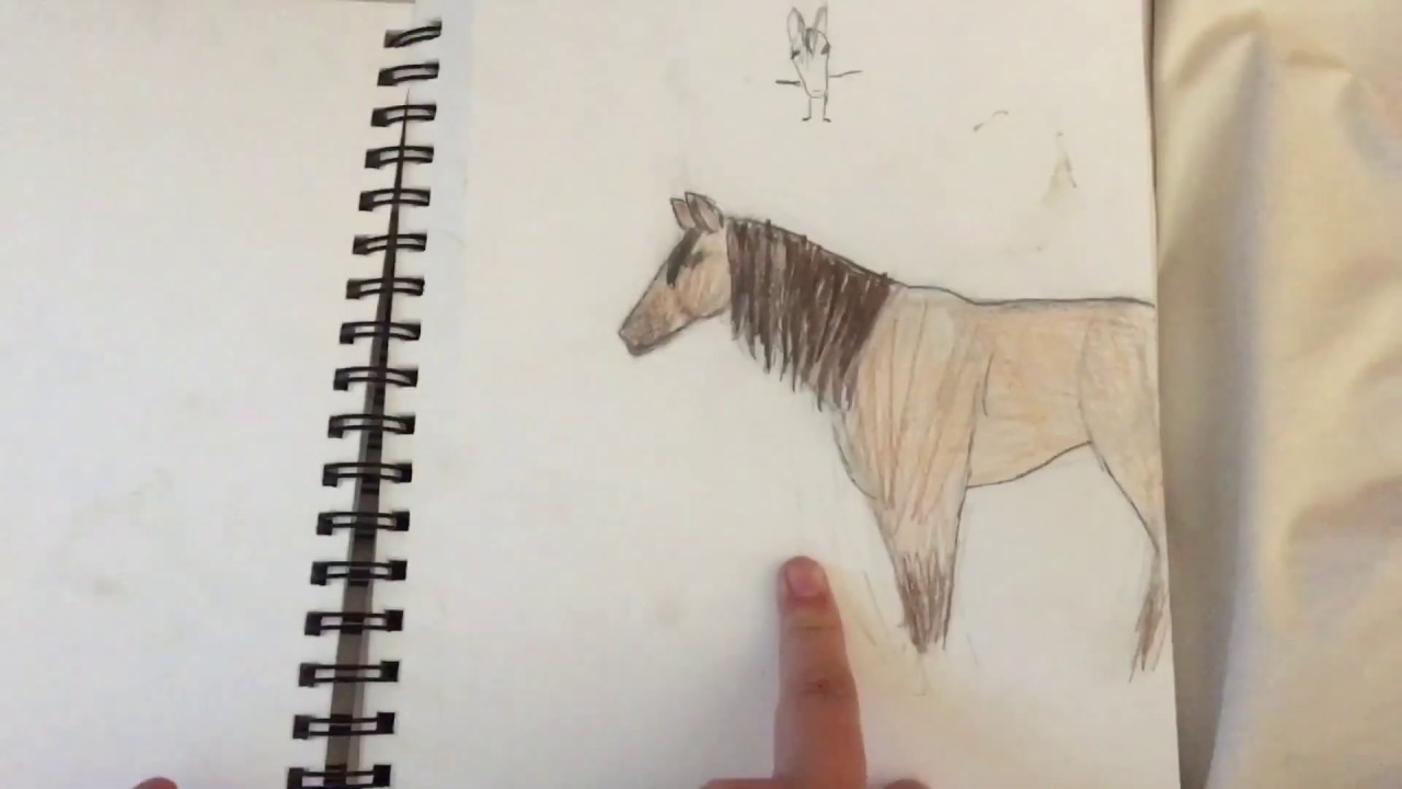 Swagkage Face Reveal