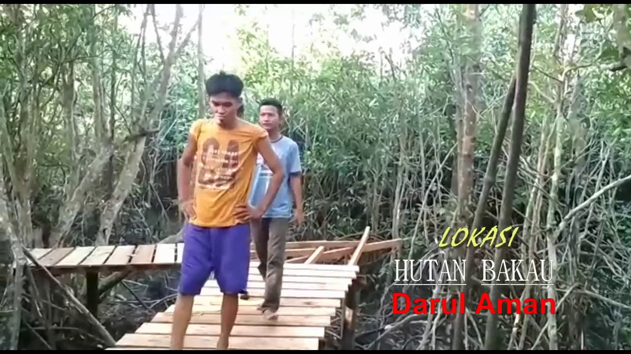 7400 Koleksi Hantu Hutan Bakau Gratis