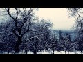 Winter in yosemite national park