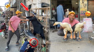 Ajj Pet Market Mein Kala Daku Se Phadda Ho GayaBig Ducks K Baby Le Aye