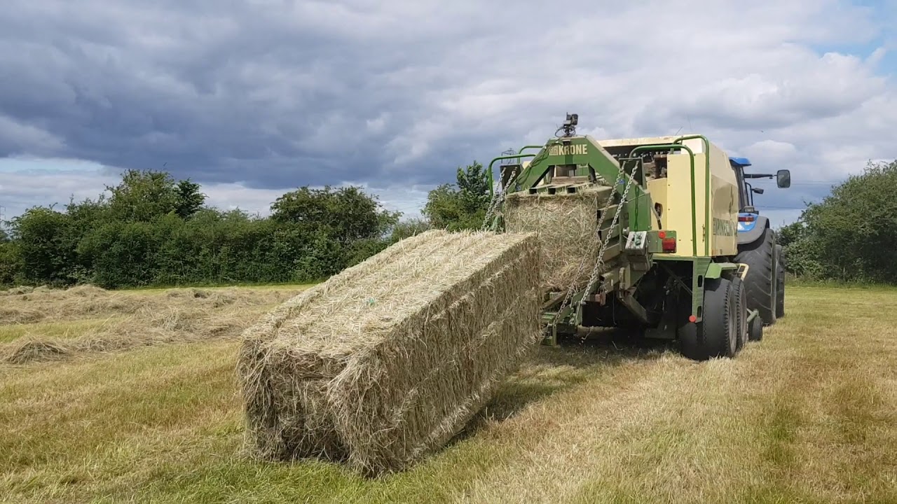 D Sansome & Son - Silage, Maize and Arable Harvest, England 2019