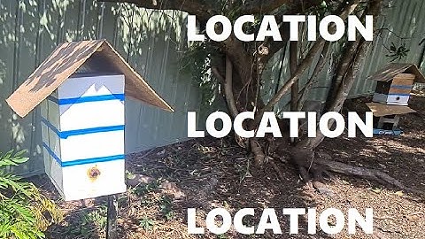 Native bee hive placement : Australian Native Bee Tips