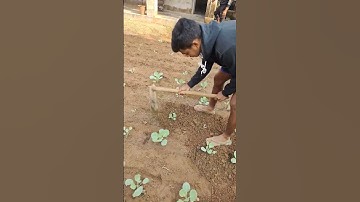 my Fast blog /my Fast meni blog /#myfirstvlog  #firstvlog #new #shorts #short