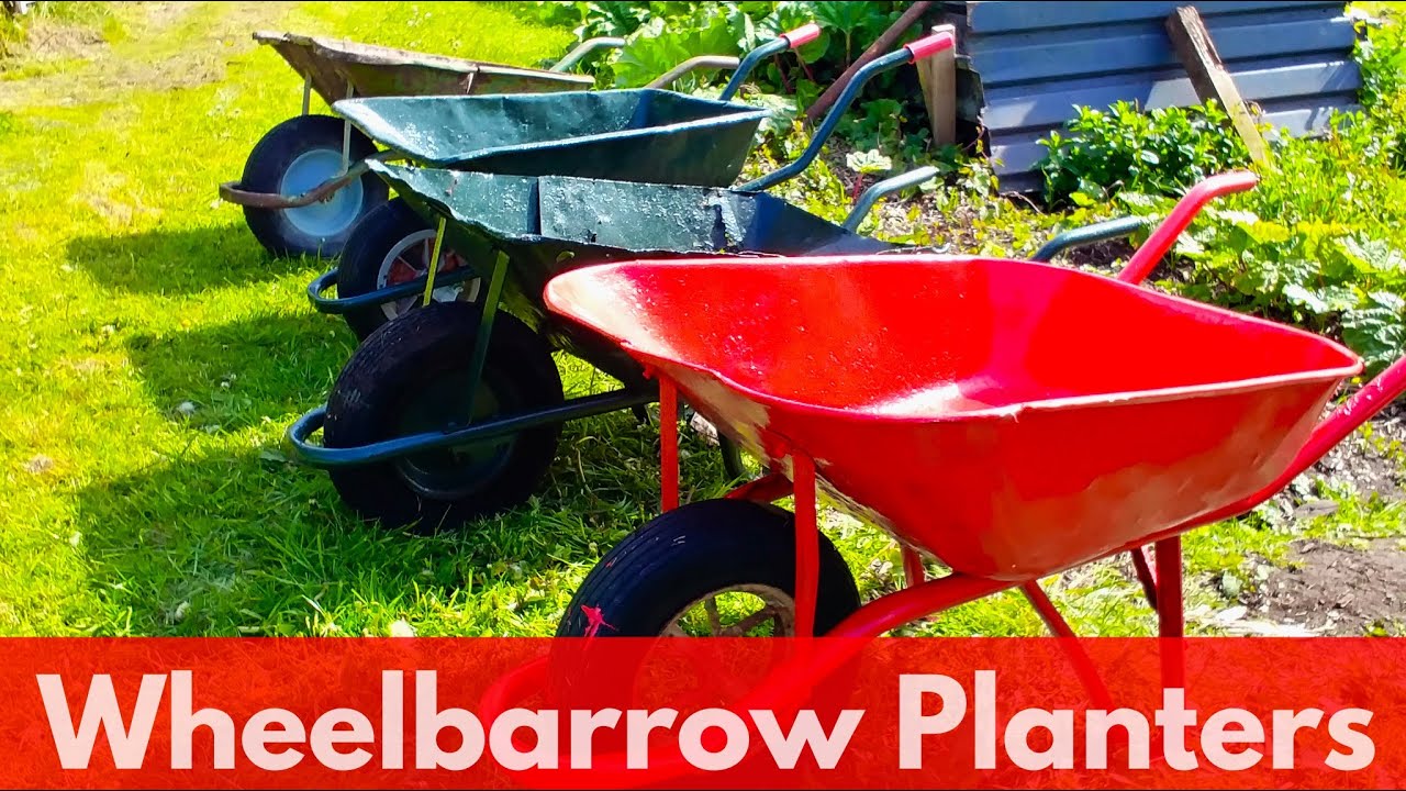 How to make planters from old rusty wheelbarrows. YouTube