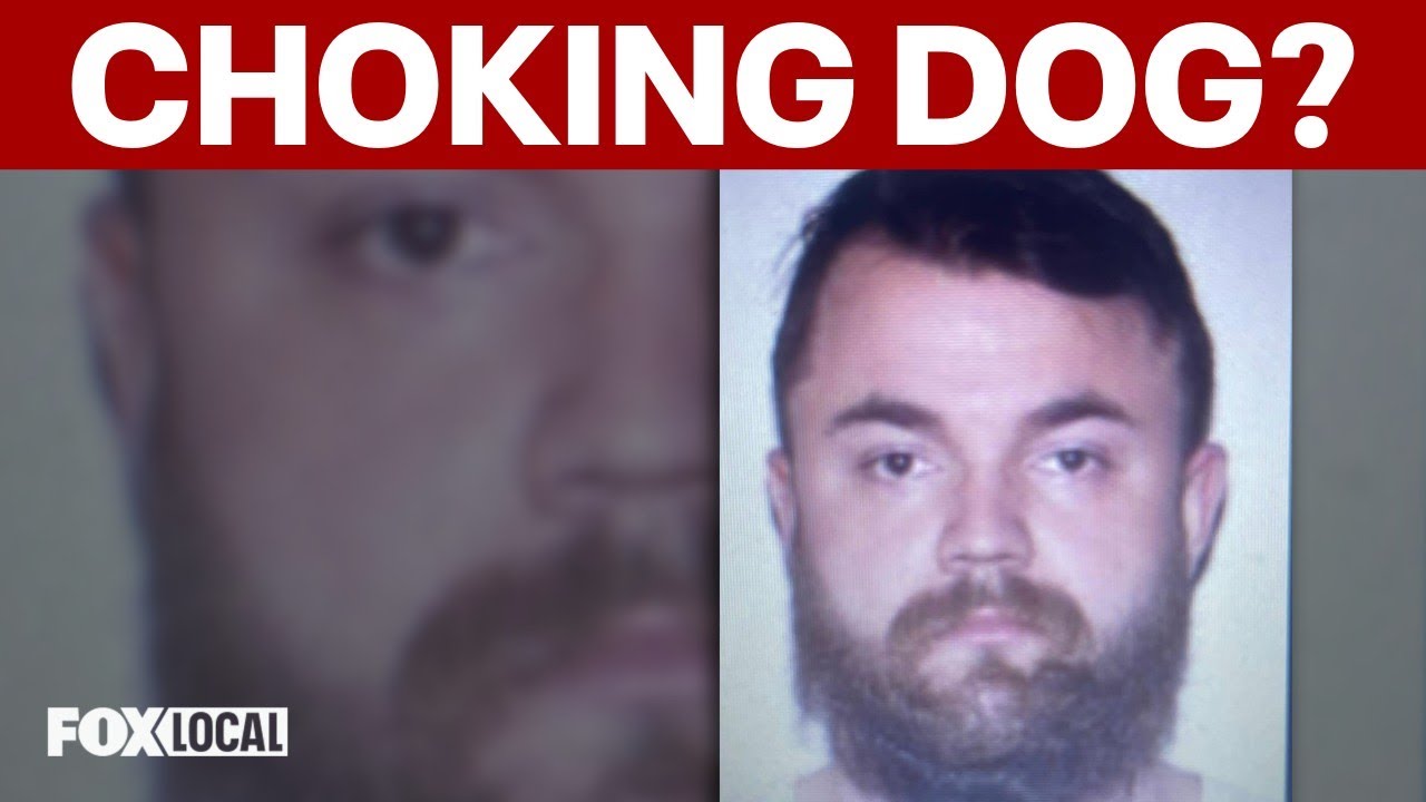 Animal control officer charged after choking small terrier in Virginia, dog euthanized: Police