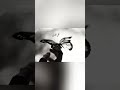 اللقا ماله وسيلة بدون موسيقى اللقا ماله وسيلة بدون موسيقى
