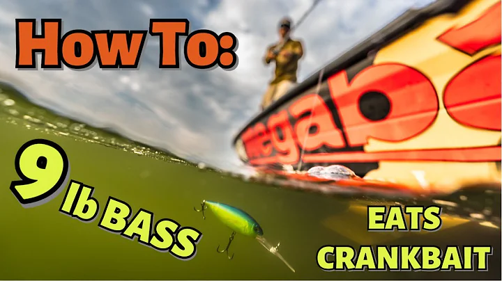 How to use Deep Crankbaits