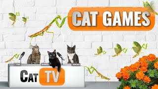 CAT Games TV | Nature's Mystical Guardians: Praying Mantis | Bug Videos For Cats to Watch | 😼 screenshot 3