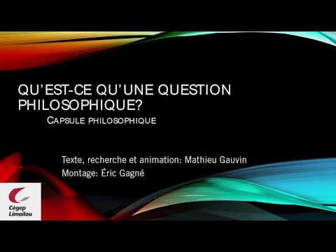 Vidéo: Qu'est-ce qu'un objet. Quelques remarques philosophiques