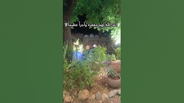 الحمدلله حمداً كثيراً#دعاء #اكسبلور #اذكار_الصباح #دعاء_في_دقيقة #راحة_نفسية#ام_آية#قرآن#جمعة_مباركة