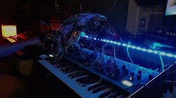 Symphonic | Analog Synth Jam: Matriarch, Moog Sound Studio: M32/SubH/DFAM, Grandmother, TR-08, H9mx
