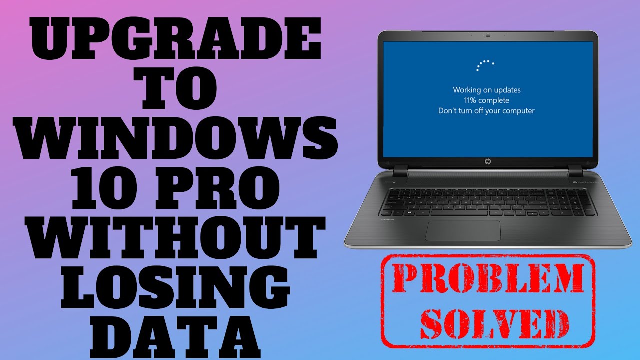 msd pro data windows 10 download