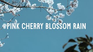 Min, Lauren St James - Pink Cherry Blossom Rain