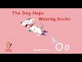 Reading Fun - Story 15 - Letter O: "The Dog Hops Wearing Socks" by Alyssa Liang