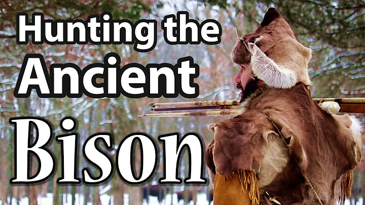 Hunting the Ancient Bison. Primitive hunting with ...