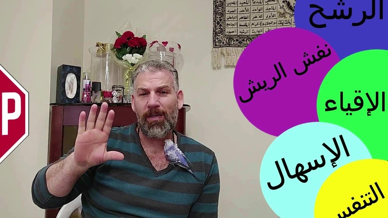 كيف أعالج طائر البادجي من نزلات البرد والاسهال و الاقياء و أمراض التنفس( تجربة حقيقية مداواة ورد )