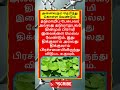 Daily life use knowledge fact💥 #tamilgk #shortfeed #tamilshorts #shorts #short #gk #tamilnadu #tamil