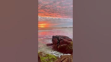 سورة الماعون بصوت مشاري راشد العفاسي | Surah Al-Ma’un (Mishary Alafasy#quran )