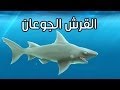 عالماشي : لعبة سمك القرش الجوعان - Hungry shark