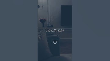 ماهر المعيقلي #قرآن #القرآن_الكريم #quran #fyp#foryou #viral #اكسبلور #art #quran #سورة_لقمان #قرآن