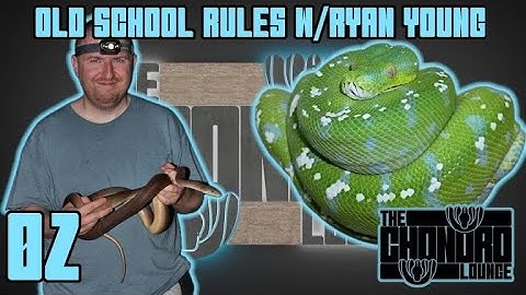 KEEPING AND BREEDING GREEN TREE PYTHONS THE OLD SCHOOL WAY | The Chondro Lounge #2