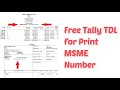 Free TDL Tally Add On | Print MSME / Udyam Number in Invoice in Tally Prime, Print MSME Registration