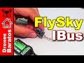 Como enlazar la emisora FlySky con IBus Flysky FS-A8S y Flysky FS-iA6B