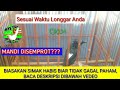 Permasalahan Burung Murai Batu PART#1