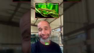 דוגמה להתנהגות דגי להקה 08-9957774, snapirimfarm.com