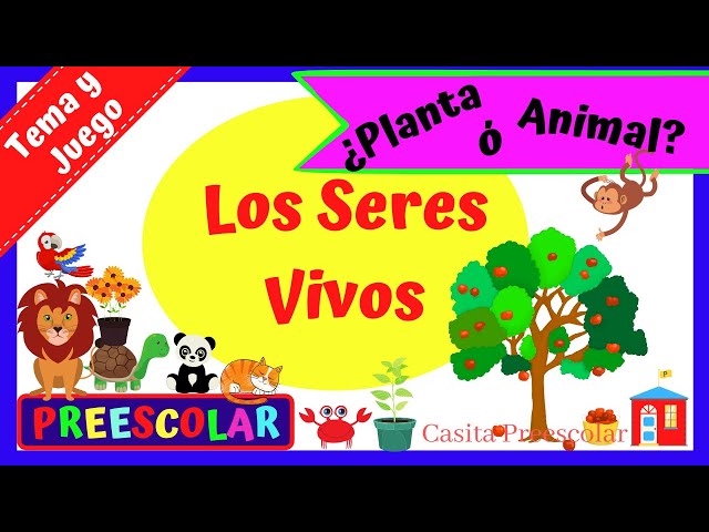 Actividad De Los Seres Vivos Para Preescolar fity.club
