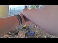 San Francisco Police Officers Shoot 2 Men Fighting With Knife Under Overpass