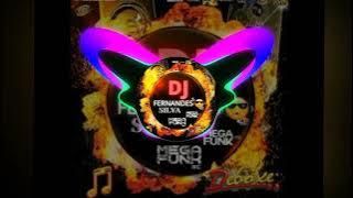 💥(Dj FERNANDES SILVA) LARA SILVA AMIGA REMIX (2022) MIX💥
