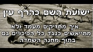 חיזוק קצר: ישועת השם כהרף עין - איך מחזיקים מעמד ולא מתייאשים כנגד כל הסיכויים גם בתוך מחנה השמדה